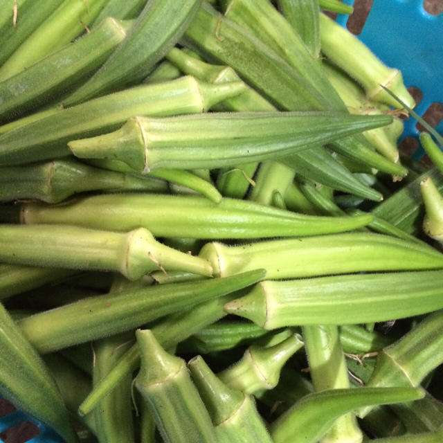 訳あり無農薬野菜セット 食品/飲料/酒の食品(野菜)の商品写真