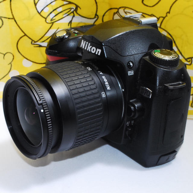 ❤日常の幸せをこのカメラで❤ Nikon D70 レンズキット