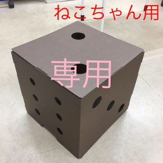 ひろみ 様☆専用ページです(猫)