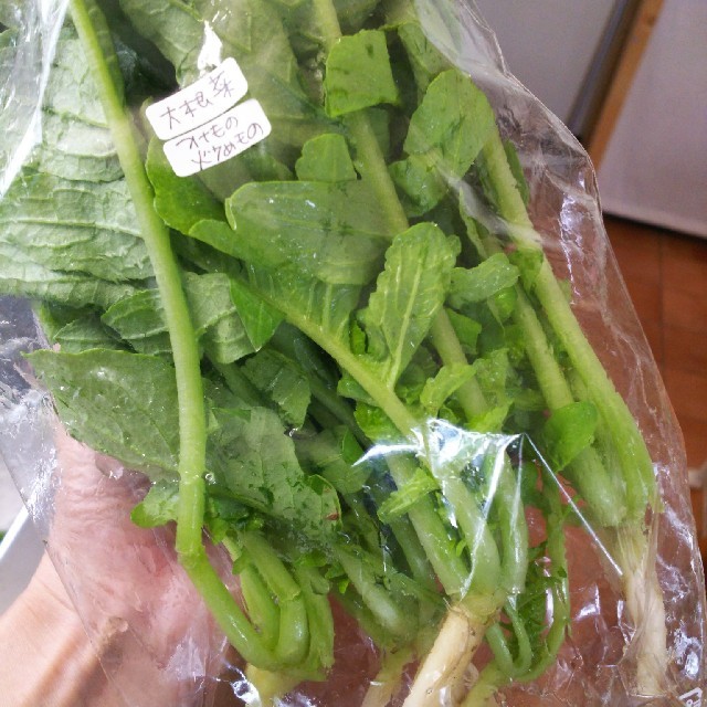 常温便 色々お野菜 80サイズ  野菜詰め合わせ 食品/飲料/酒の食品(野菜)の商品写真