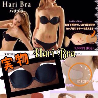 Hari Bra 〜 ハリブラ サイズ１(その他)