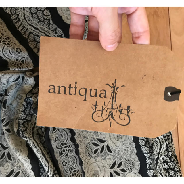 antiqua(アンティカ)のantiqua レースレギンス ブラック×ブラウン レディースのレッグウェア(レギンス/スパッツ)の商品写真