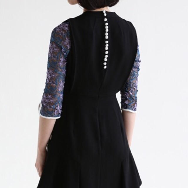 mame Tulle Embroidered Sleeve Dress
