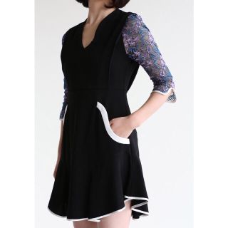 マメ(mame)のmame Tulle Embroidered Sleeve Dress(ひざ丈ワンピース)