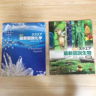 スクエア 化学  生物  図説(語学/参考書)