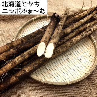 北海道とかちニシボふぁ〜む ゴボウ 『薫る大地』1kg(野菜)