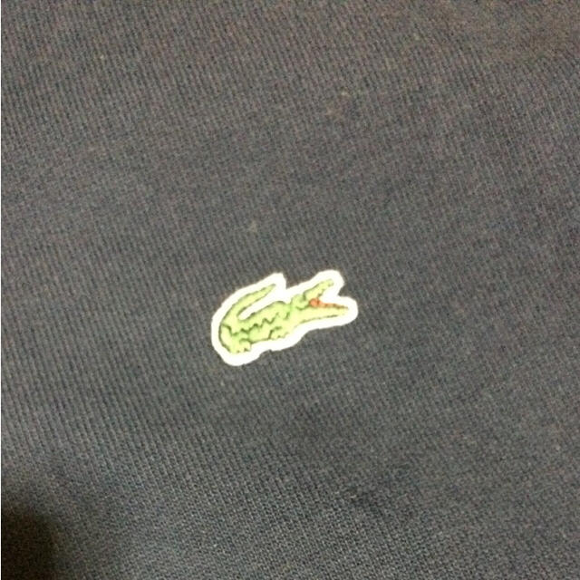 LACOSTE(ラコステ)の【大きいサイズ】ラコステ スウェットフーディー メンズのトップス(パーカー)の商品写真