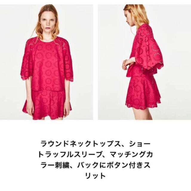 ZARA(ザラ)の今季 ザラ 完売 S 刺繍 フリル トップス シフリ ワンピ ブーツ サンダル レディースのトップス(シャツ/ブラウス(長袖/七分))の商品写真