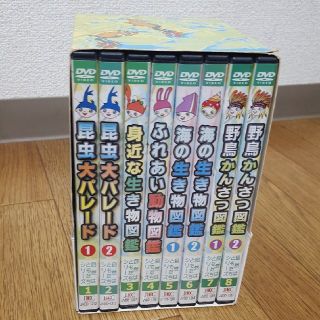 自然はともだち　ＤＶＤ8枚セット(キッズ/ファミリー)