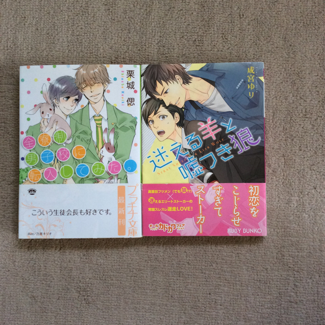 BL(花とうさぎ、マウリと竜 他10冊) エンタメ/ホビーの漫画(ボーイズラブ(BL))の商品写真