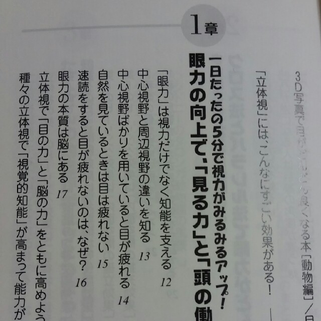 えーすさま専用　目が良くなる本 エンタメ/ホビーの本(健康/医学)の商品写真