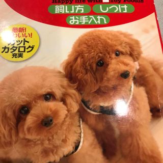 トイプードル飼い方、しつけ、トイレの本(犬)