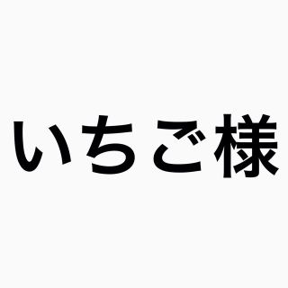 カーターズ(carter's)のいちご様(画像がお子様)専用(その他)