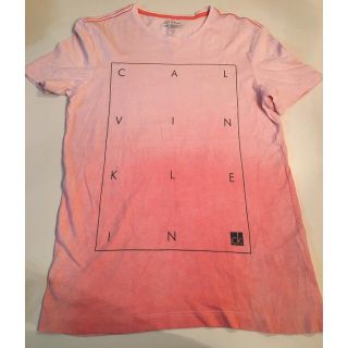 カルバンクライン(Calvin Klein)のCalvinKlein 半袖Tシャツ(Tシャツ/カットソー(半袖/袖なし))