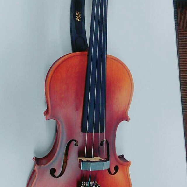 大幅値下げ！バイオリン 楽器の弦楽器(ヴァイオリン)の商品写真