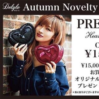 デイライルノアール(Delyle NOIR)のちゃこ様専用(ポーチ)