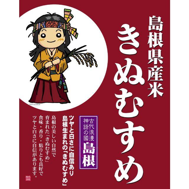 平成29年度 島根県 白米 きぬむすめ 2kg 2合パックプレゼント 食品/飲料/酒の食品(米/穀物)の商品写真