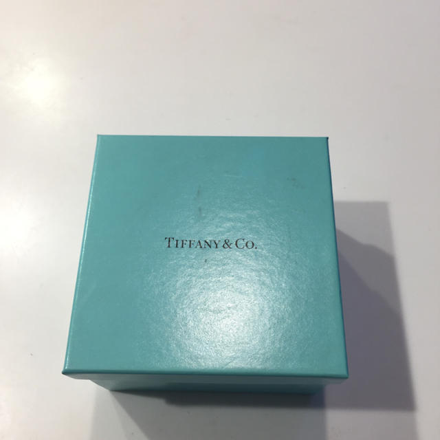 Tiffany & Co. - 新品未使用 TIFFANY ティファニー 陶器 小物 Tiffany & Co. - 新品未使用 TIFFANY ティファニー 陶器 小物
